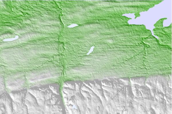 @{@location.name} neighbourhood basemap