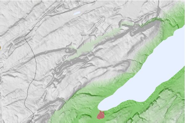 @{@location.name} neighbourhood basemap